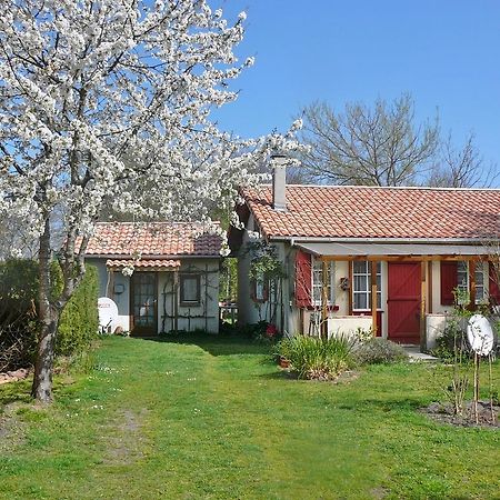 Guesthouse La Burle Parentis-en-Born Phòng bức ảnh