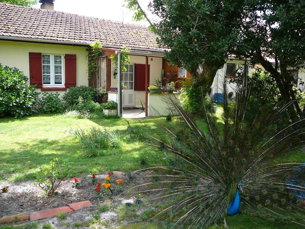 Guesthouse La Burle Parentis-en-Born Ngoại thất bức ảnh